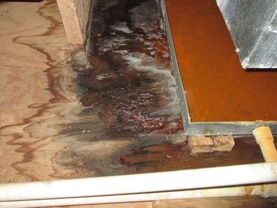 About water damage cleanup - ceiling water damage repair experts in Whittier